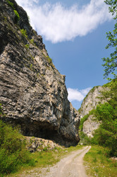 Similar image 1233319