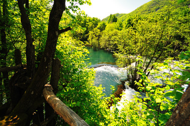 Similar image 1233337