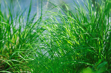 Similar image 1233350