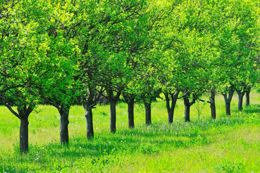 Similar image 1233352