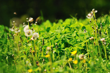 Similar image 1233353