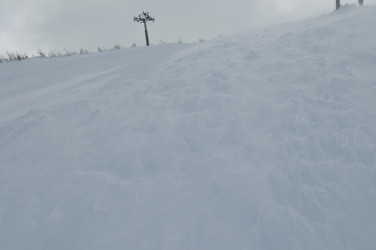 Similar image 1233374