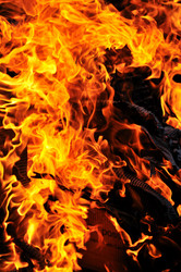 Similar image 1233382