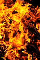 Similar image 1233383