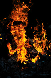 Similar image 1233385