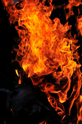 Similar image 1233386