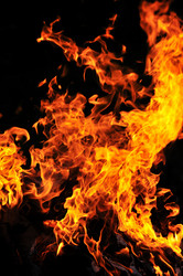 Similar image 1233407