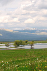 Similar image 1233416