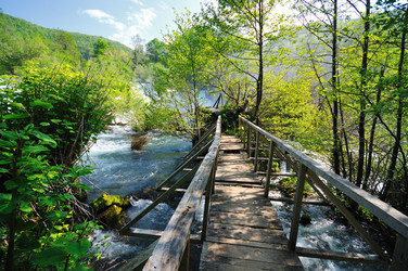 Similar image 1233422