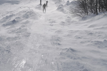 Similar image 1233431