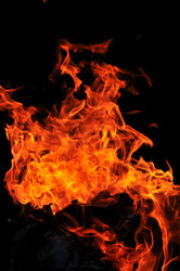 Similar image 1233439