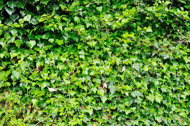 Similar image 1233441