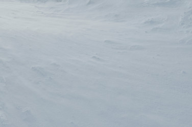 Similar image 1233445