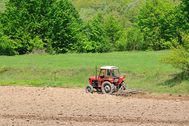 Similar image 1233448