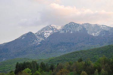 Similar image 1233453