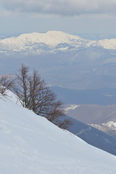 Similar image 1233463