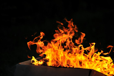 Similar image 1233464