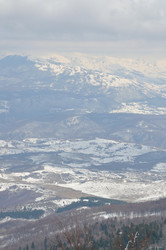 Similar image 1233474