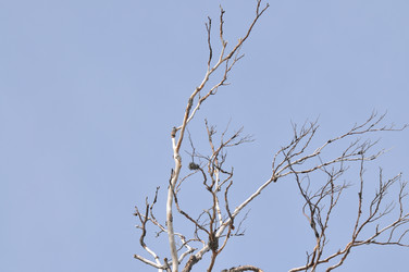 Similar image 1233499