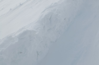 Similar image 1233516