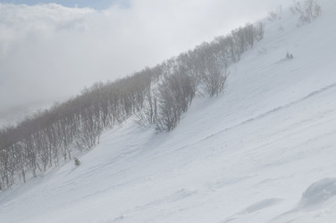 Similar image 1233517