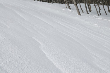 Similar image 1233536