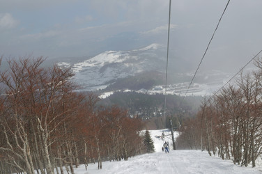 Similar image 1233546