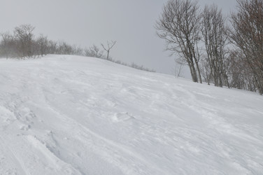 Similar image 1233549