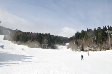 Similar image 1233556