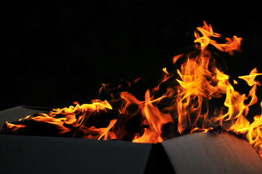 Similar image 1233568