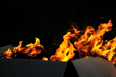 Similar image 1233592