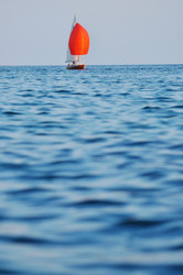 Similar image 1233598