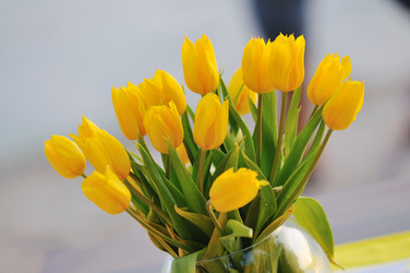 Similar image 1233602