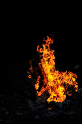 Similar image 1233655