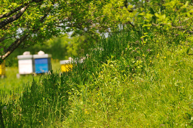 Similar image 1233697