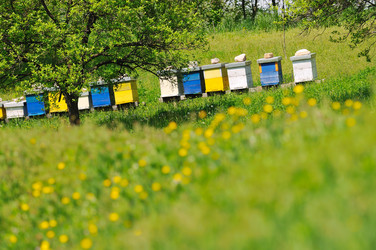 Similar image 1233709