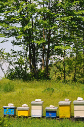 Similar image 1233713