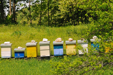 Similar image 1233715