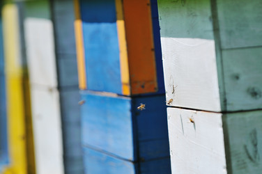 Similar image 1233729