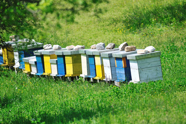 Similar image 1233738