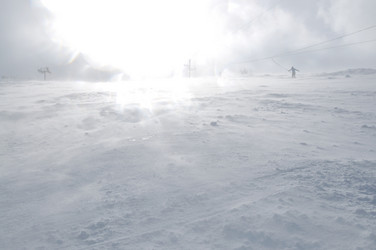 Similar image 1233740