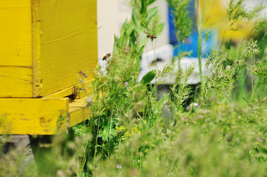 Similar image 1233789