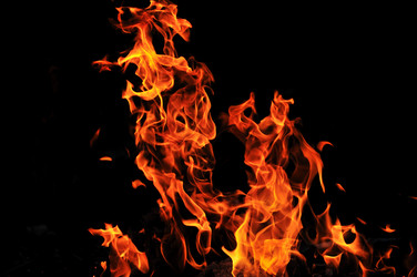 Similar image 1233821