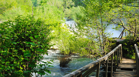 Similar image 1233822