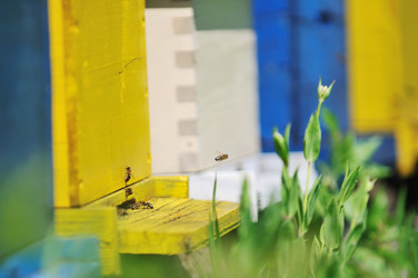 Similar image 1233833