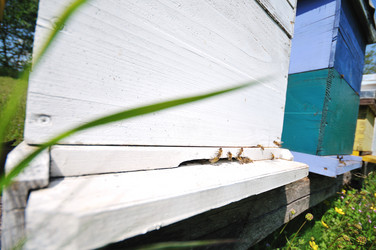 Similar image 1233848