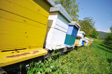 Similar image 1233853