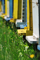 Similar image 1233855