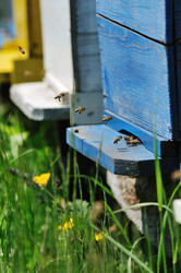 Similar image 1233870