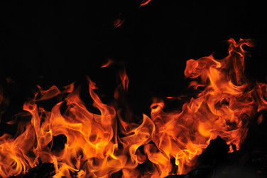 Similar image 1233880